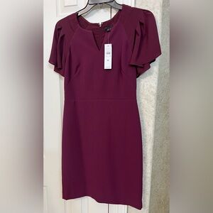 New Ann Taylor Pleated Sleeve Sheath Dress Crisp Plum - Size 00